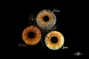 Accueil Photographie_1_2560